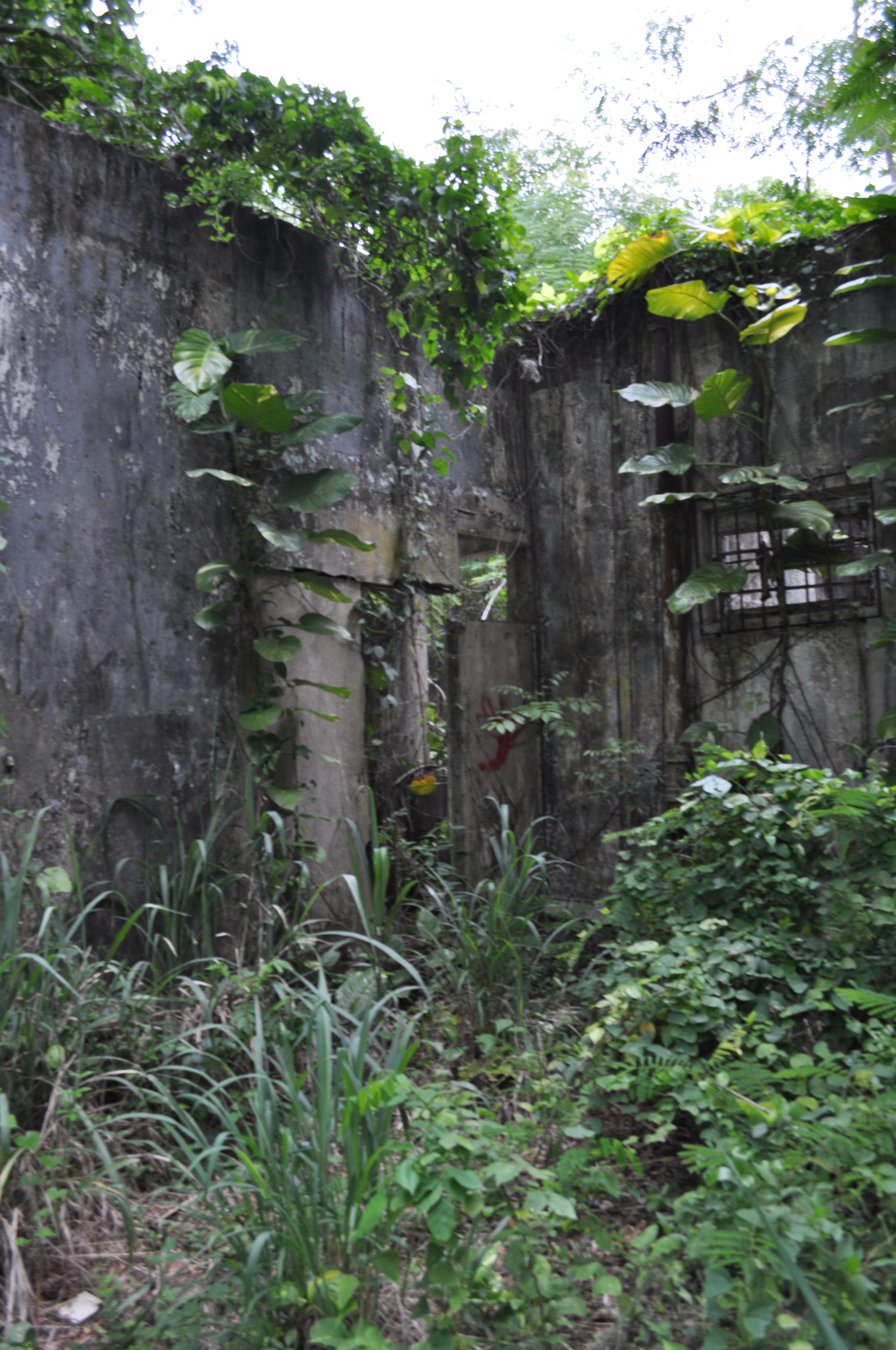 Antigua Lechería y Residencia de la Facultad de la Universidad de Puerto Rico - San Juan (Río Piedras) - 2015 00050